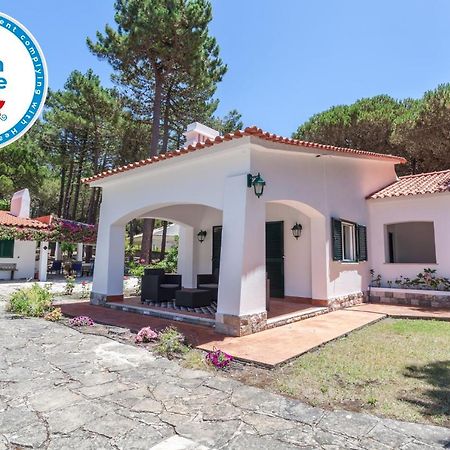Ocean, Pines And Mountain - Renovated February 2025 - Ac Villa Colares Dış mekan fotoğraf