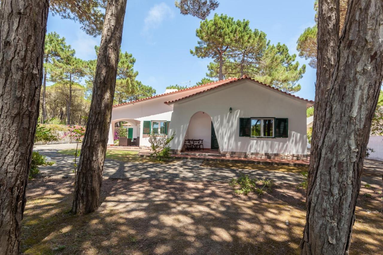 Ocean, Pines And Mountain - Renovated February 2025 - Ac Villa Colares Dış mekan fotoğraf