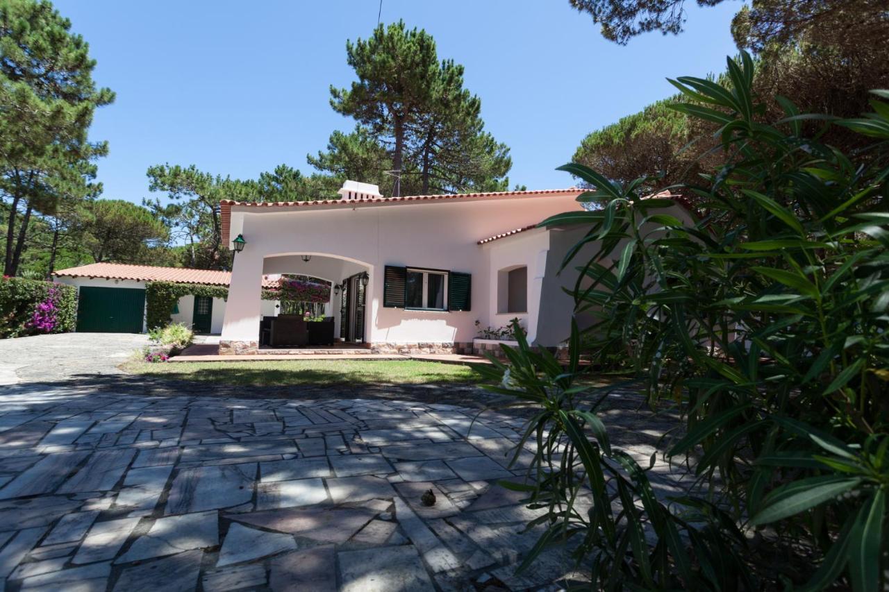 Ocean, Pines And Mountain - Renovated February 2025 - Ac Villa Colares Dış mekan fotoğraf