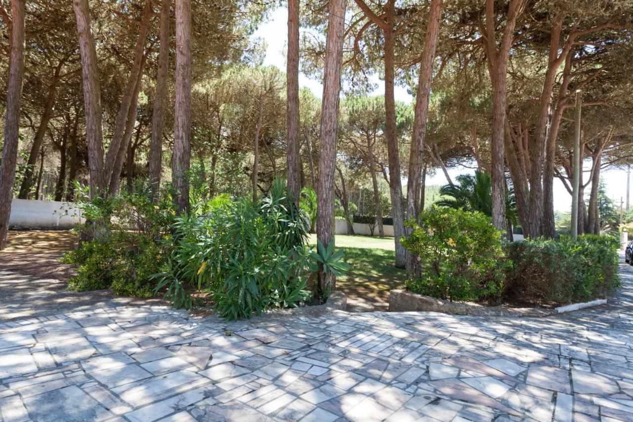 Ocean, Pines And Mountain - Renovated February 2025 - Ac Villa Colares Dış mekan fotoğraf