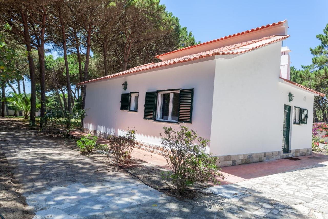 Ocean, Pines And Mountain - Renovated February 2025 - Ac Villa Colares Dış mekan fotoğraf