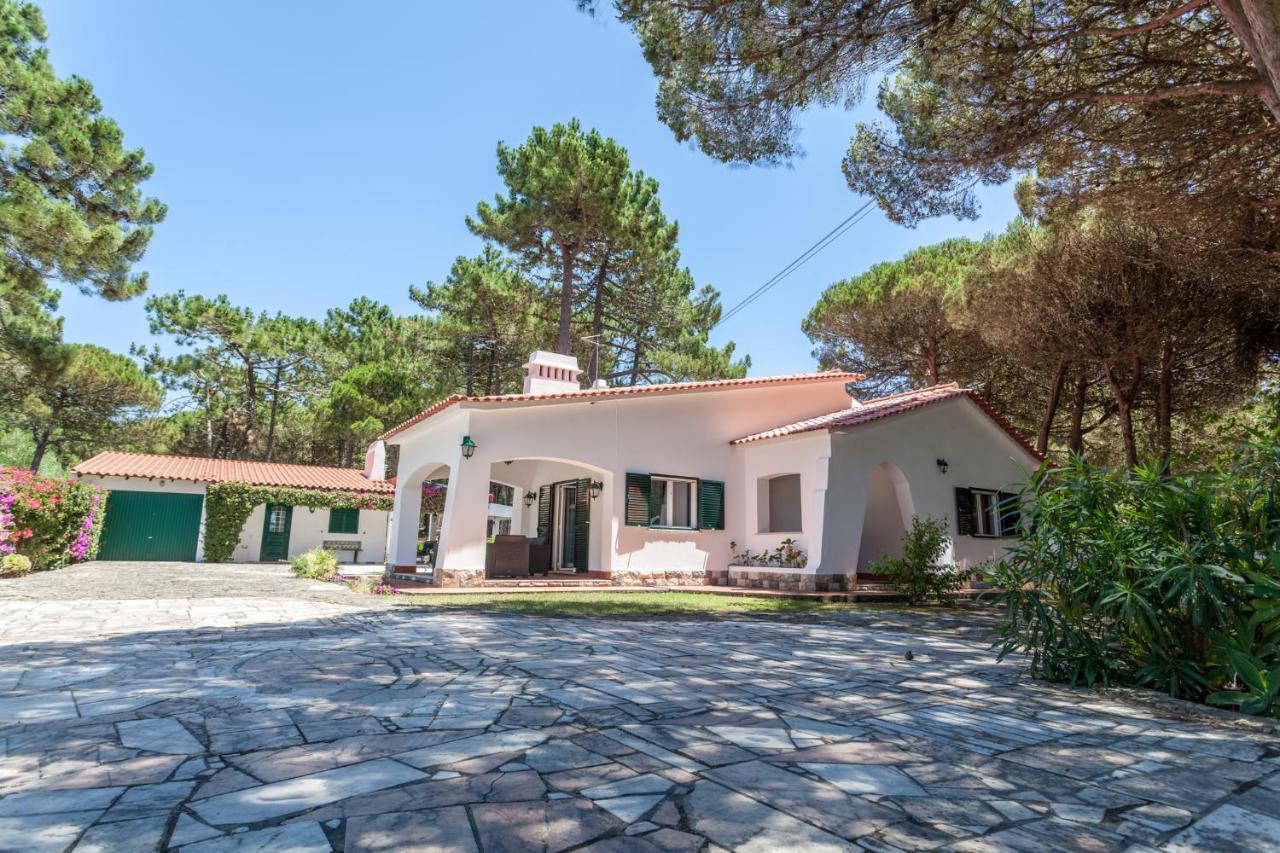 Ocean, Pines And Mountain - Renovated February 2025 - Ac Villa Colares Dış mekan fotoğraf