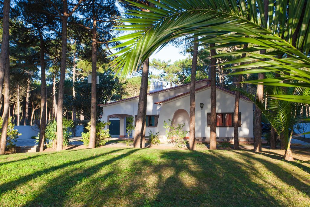 Ocean, Pines And Mountain - Renovated February 2025 - Ac Villa Colares Dış mekan fotoğraf