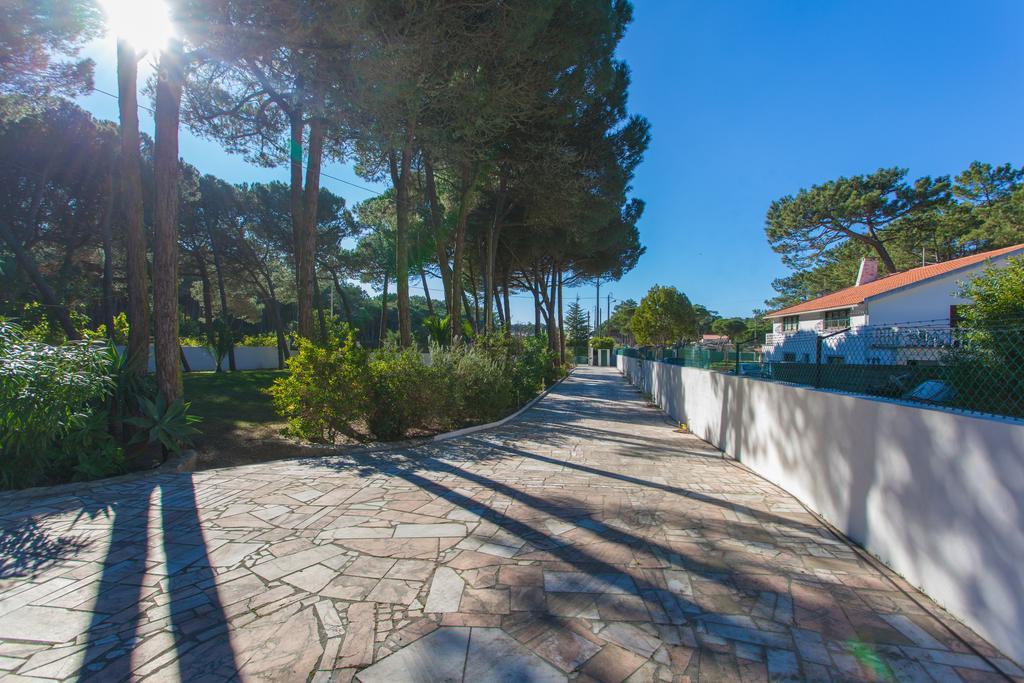 Ocean, Pines And Mountain - Renovated February 2025 - Ac Villa Colares Dış mekan fotoğraf